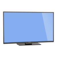 Preview: Magnavox 55MV314X
