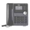 IP Phone Logo