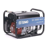 Preview: SDMO SH 3000 UK