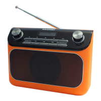 Preview: Blaupunkt RX+45e