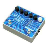 Preview: STEREO MEMORY MAN WITH HAZARAI