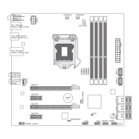 Preview: MSI MS-7667
