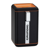 Preview: Grundig Bluebeat GSB 110
