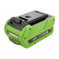 Preview: GreenWorks 29462