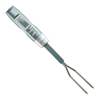 Preview: digital fork thermometer