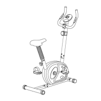 Preview: Pro Fitness Magnetic Cycle