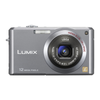 Preview: Panasonic Lumix DMC-FX100