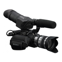 Preview: Sony NEX-FS100C