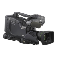 Preview: Sony PDW-F335L