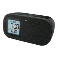 Preview: iHome iBT21