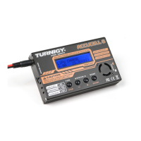 Preview: Turnigy ACCUCELL-6