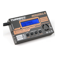 Preview: Turnigy ACCUCELL-6