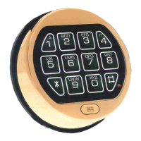 Preview: La Gard LGBasic II 3715