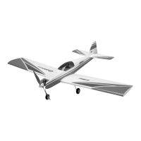 Preview: E-FLITE Advance 25e ARF