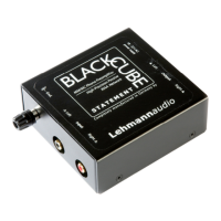 Preview: Black Cube Statement
