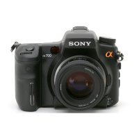 Preview: Sony DSLR-A700