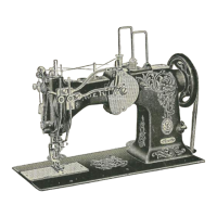 Preview: Singer 72W19