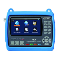 Preview: Satlink WS 6951