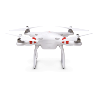 Preview: dji PHANTOM 2