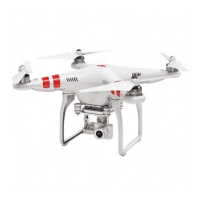 Preview: dji PHANTOM 2