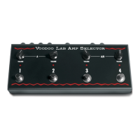 Preview: Voodoo Lab Amp Selector
