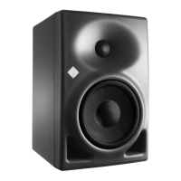 Preview: Neumann.Berlin KH 120