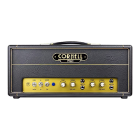 Preview: Cornell Plexi 18/20