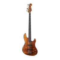 Preview: Fender VICTOR BAILEY JAZZ BASS