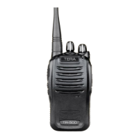 Preview: Tera TR-500