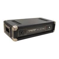 Preview: Traynor PM-100