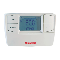 Preview: Immergas CARV2