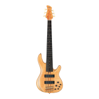 Preview: Yamaha TRB-6PII