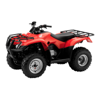 Preview: Honda trx250tm 2005