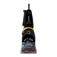 Preview: Bissell PROHEAT 2X
