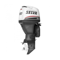 Preview: Selva Marlin 100 EFI