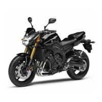 Preview: Yamaha 2011 FZ8NA(C)