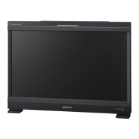 Preview: Sony Trimaster EL BVM-E250