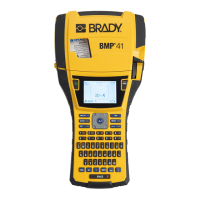 Preview: Brady BMP 41
