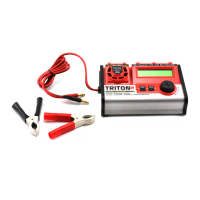 Preview: GREAT PLANES Triton2 EQ