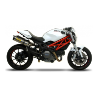 Preview: Ducati Monster 795