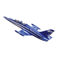 Preview: Black Horse Model L-39 Albatros