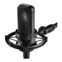Preview: Audio Technica AT4040