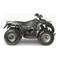Preview: Kolpin Powersports 180??