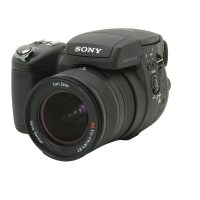 Preview: Sony DSC-R1