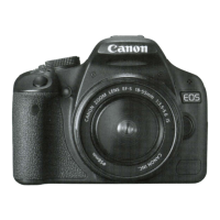 Preview: Canon EOS REBEL T1 i/EOS 500D