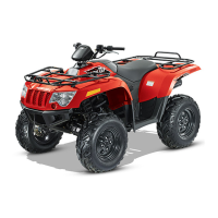 Preview: Arctic Cat 450 i