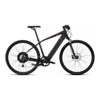 Preview: Specialized TURBO
