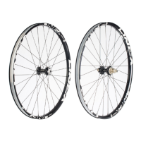 Preview: Formula Linea