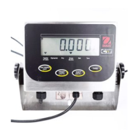 Preview: OHAUS CW-11