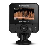 Preview: Raymarine Dragonfly-4
